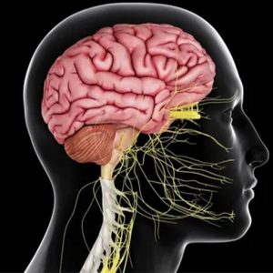 Kranial Hastalıklar